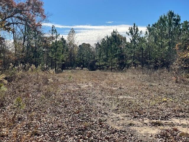 Land for sale in Buena Vista, Georgia