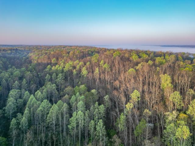 Land for sale in Nunnelly