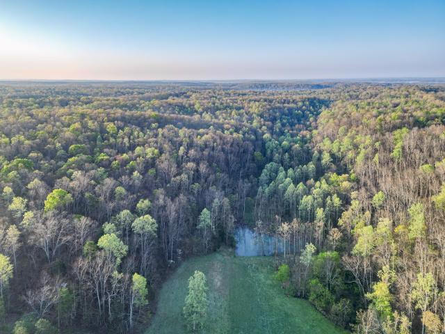 Land for sale in Nunnelly