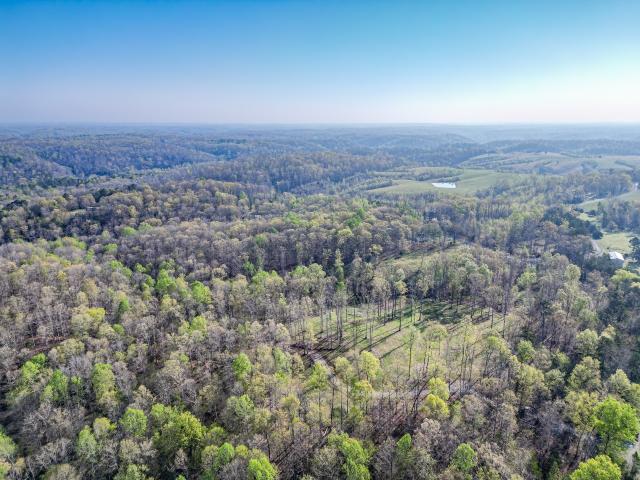 Land for sale in Nunnelly
