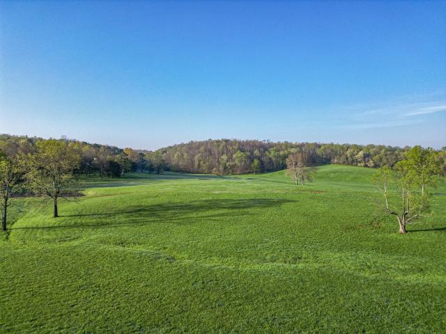 Land for sale in Nunnelly