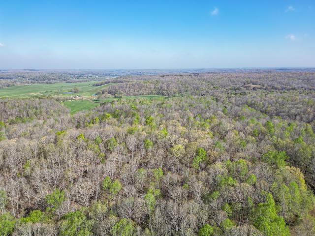 Land for sale in Nunnelly