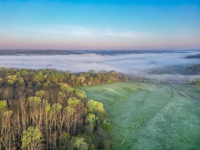 Land for sale in Nunnelly