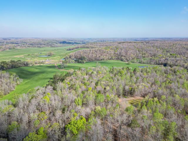 Land for sale in Nunnelly