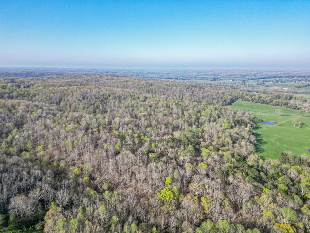 Land for sale in Nunnelly
