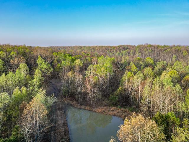Land for sale in Nunnelly