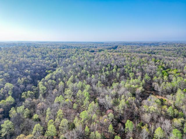 Land for sale in Nunnelly