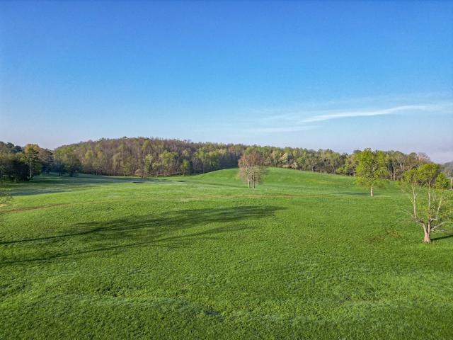 Land for sale in Nunnelly