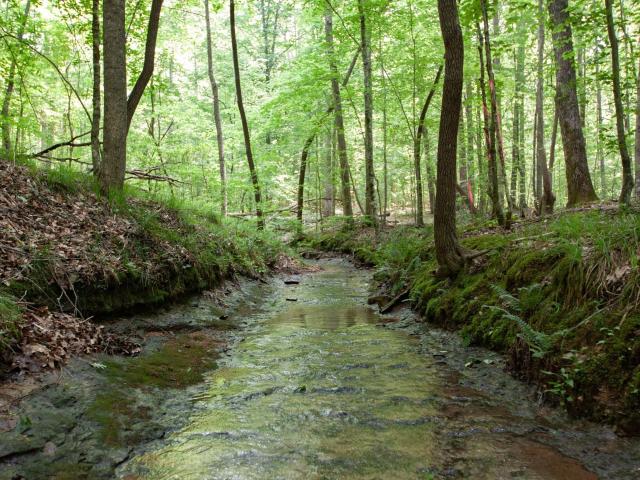 Land for sale in Franklin Land for sale in Franklin