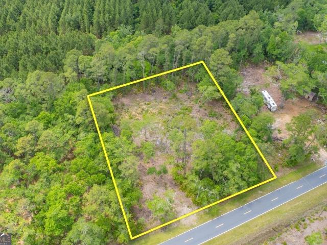 Land for sale in Waverly, Georgia