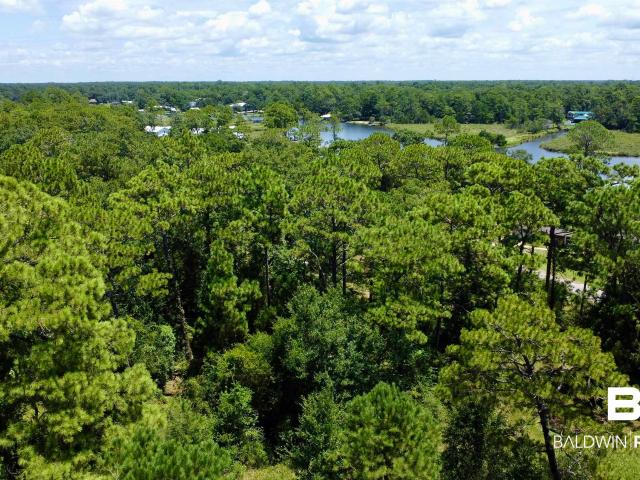 Land for sale in Foley, Alabama