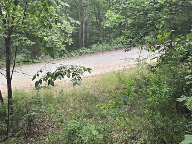 Land for sale in Rutherford, North Carolina