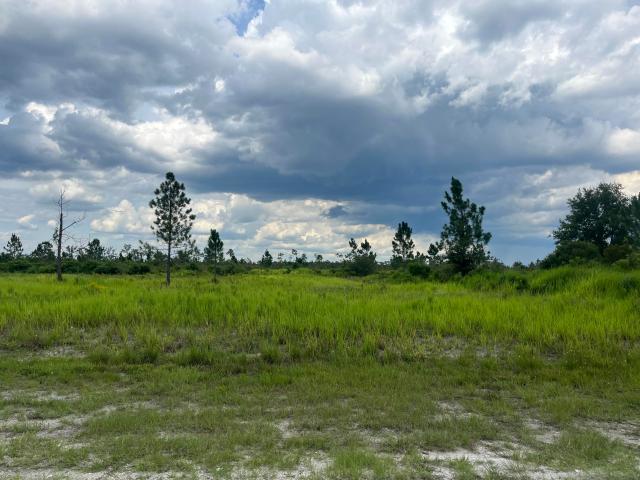 Land for sale in Babson Park, Florida