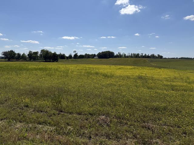 Land for sale in Tennessee