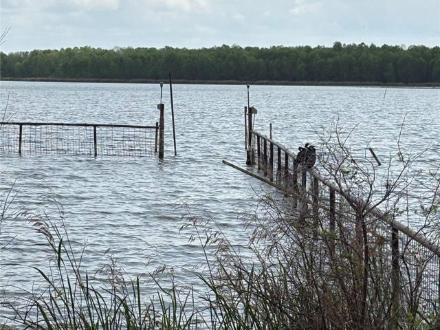 Land for sale in Texas