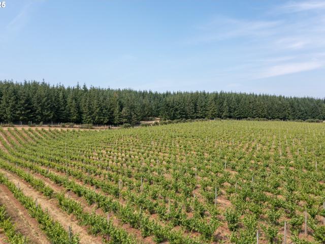 Land for sale in Oregonia