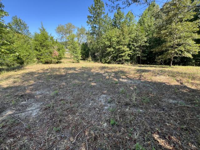 Land for sale in Middle Tennessee, Tennessee