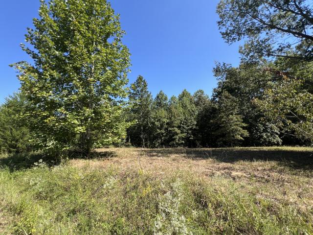 Land for sale in Middle Tennessee, Tennessee