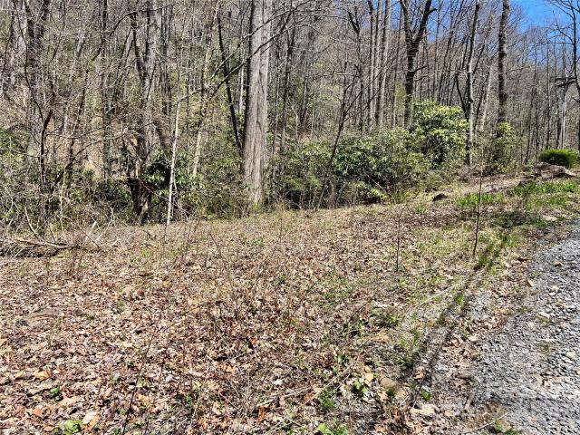 Land for sale in Haywood, North Carolina