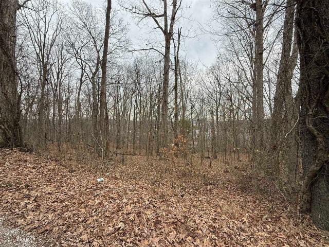 Land for sale in Morgantown, Kentucky