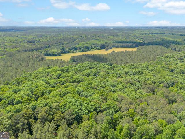 Land for sale in Newborn, Newton County