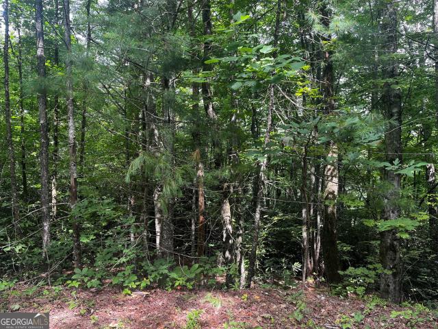 Land for sale in Georgia