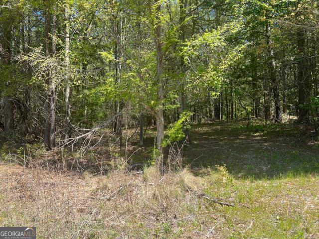 Property for sale in Banks, Georgia