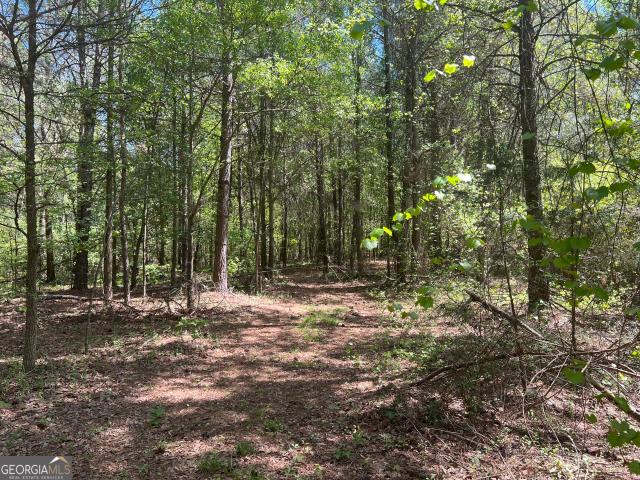Land for sale in Maysville, Georgia