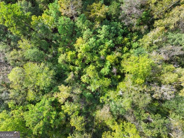 Land for sale in Statesboro, Georgia