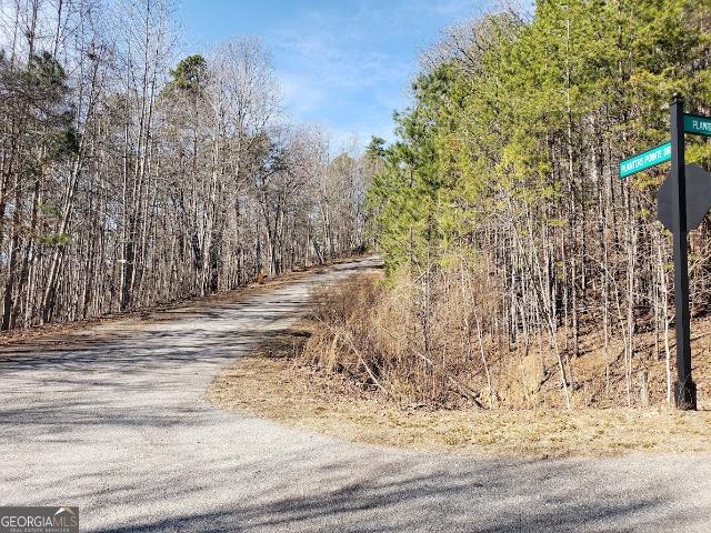 Land for sale in Banks, Georgia