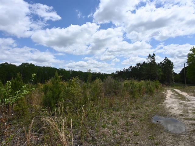 Land for sale in West Columbia, South Carolina