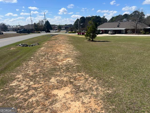 Land for sale in Dodge, Georgia