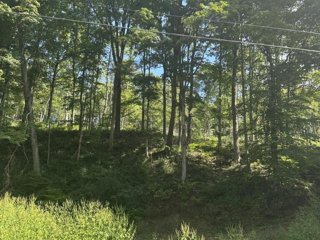 Land for sale in Waverly, Ohio