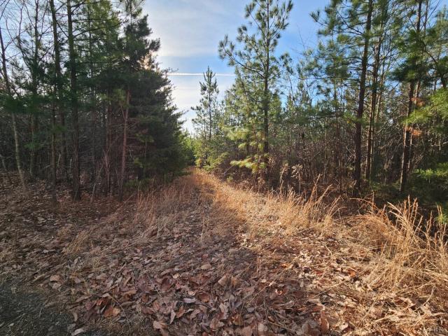 Land for sale in Virginia