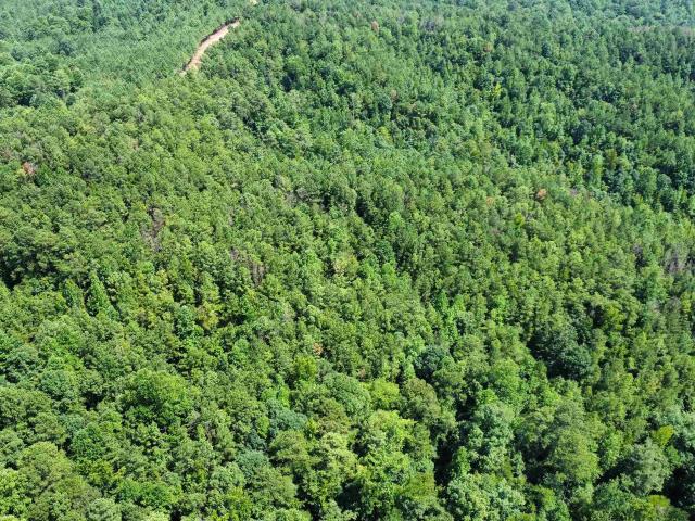Land for sale in Tuscaloosa