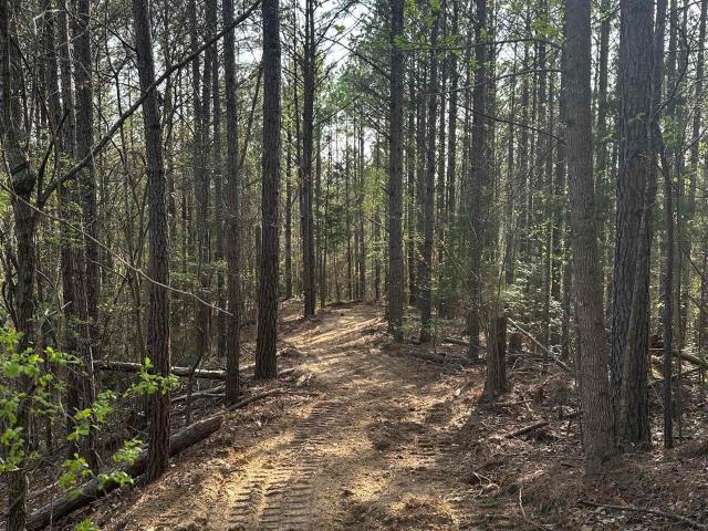Land for sale in Tuscaloosa