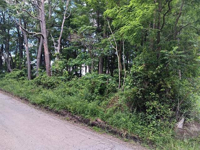 Farm for sale in Indian Head, Pennsylvania