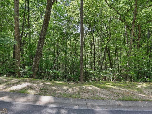 Land for sale in Clarkesville, Habersham County