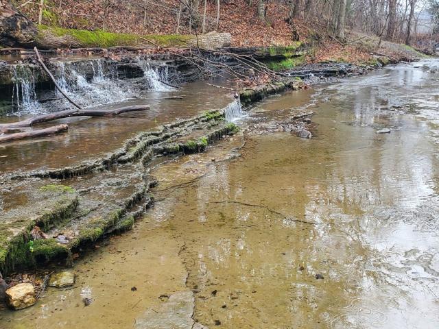 Land for sale in Gordonsville, Middle Tennessee