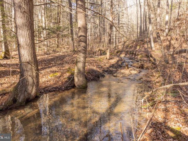 Land for sale in White Sulphur Springs, West Virginia