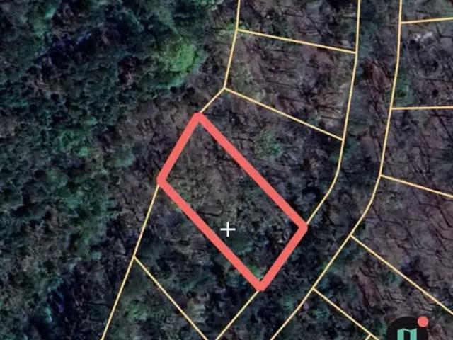 House for rent in Talladega House for rent in Talladega