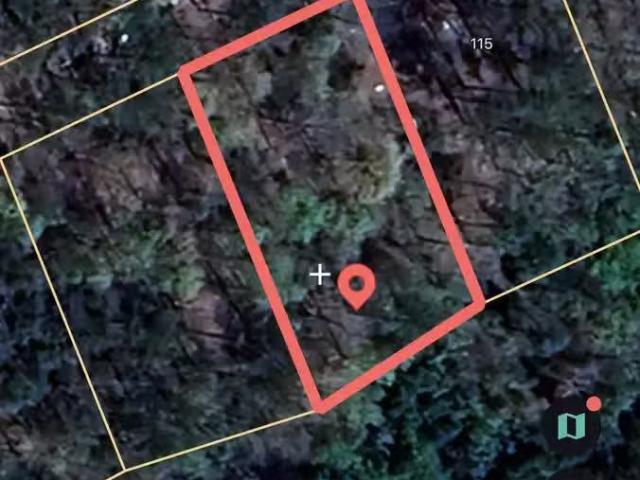 House for rent in Talladega House for rent in Talladega