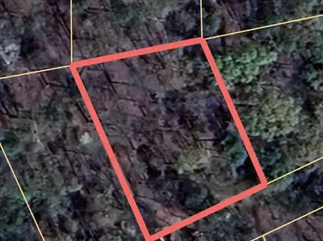 House for rent in Talladega House for rent in Talladega