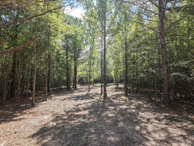 Land for sale in Tennessee