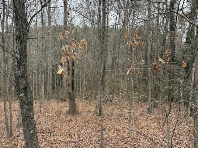 Land for sale in Mountain Trace, Dallas