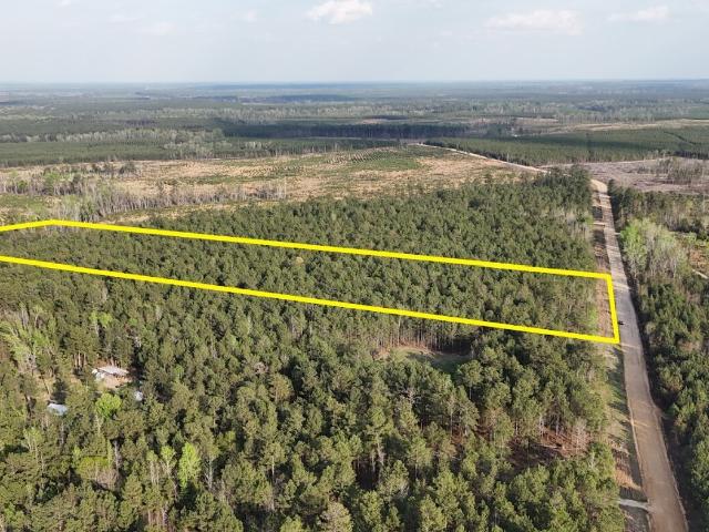 Land for sale in Bartow, Georgia