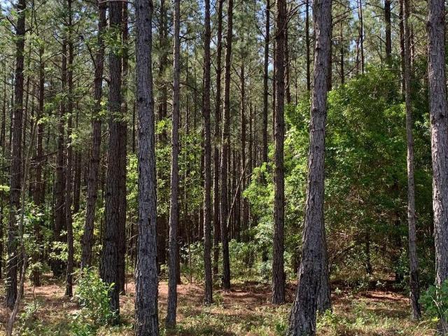 Land for sale in Bartow, Georgia