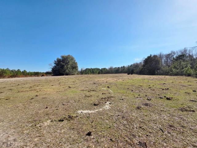Land for sale in Manning, South Carolina