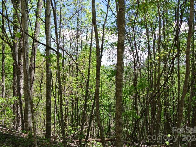 Land for sale in Spruce Pine, North Carolina