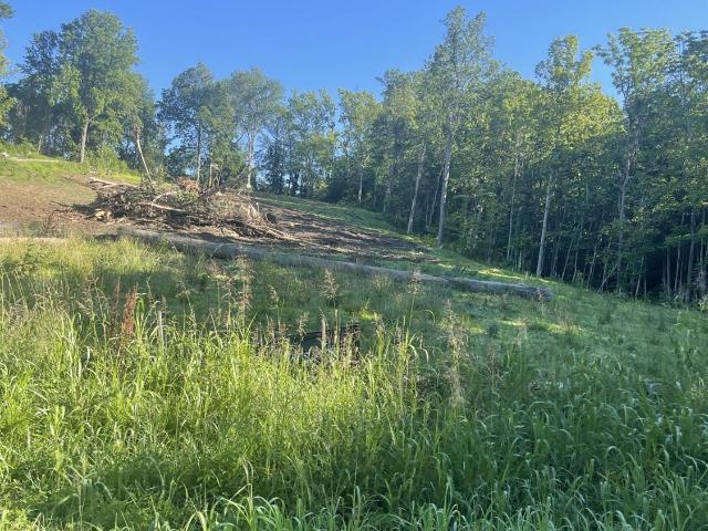 Land for sale in Clermont, Ohio
